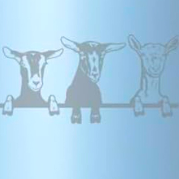 Meet your Posher, Amber - Picture 1 of 1